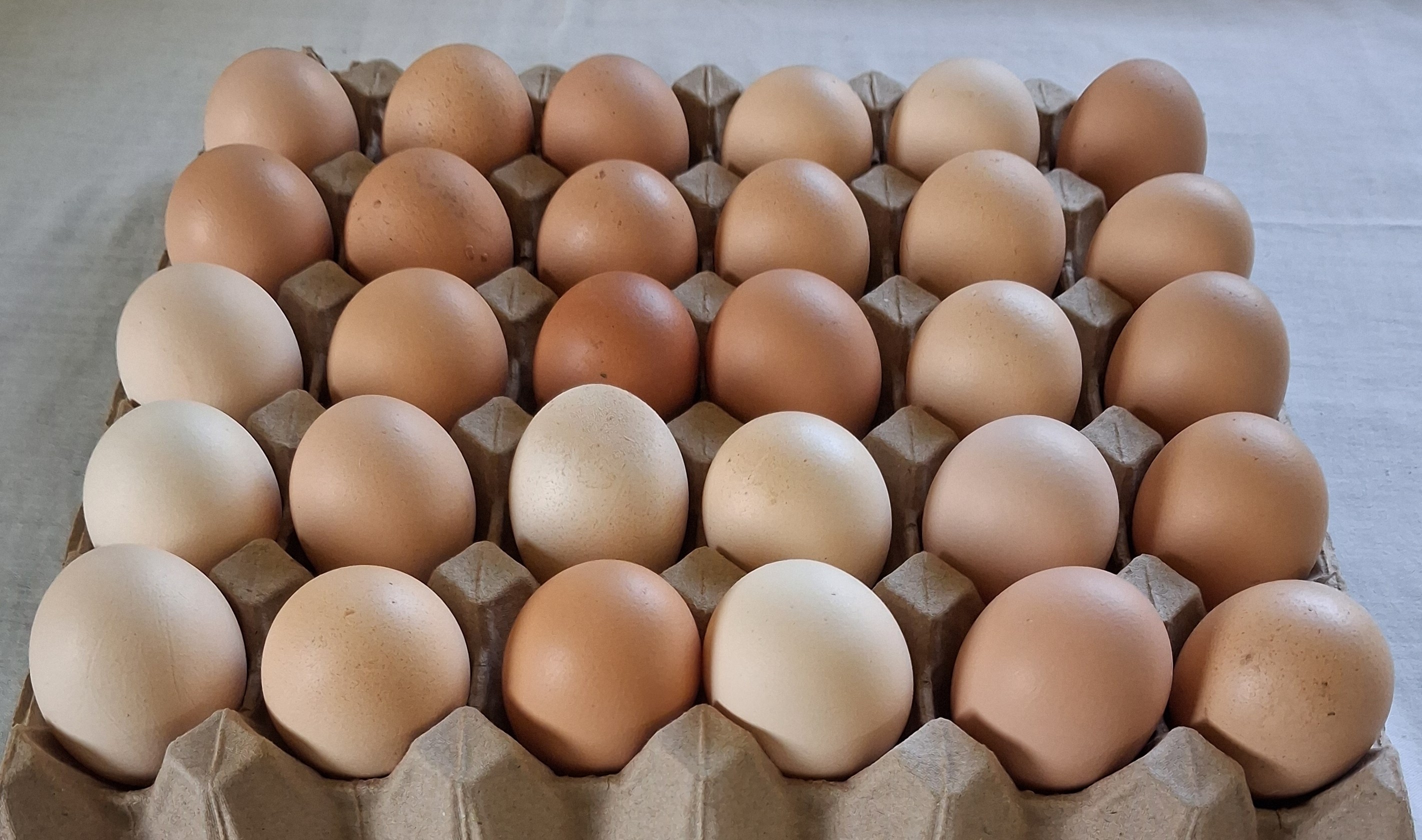 Tray of 30 eggs