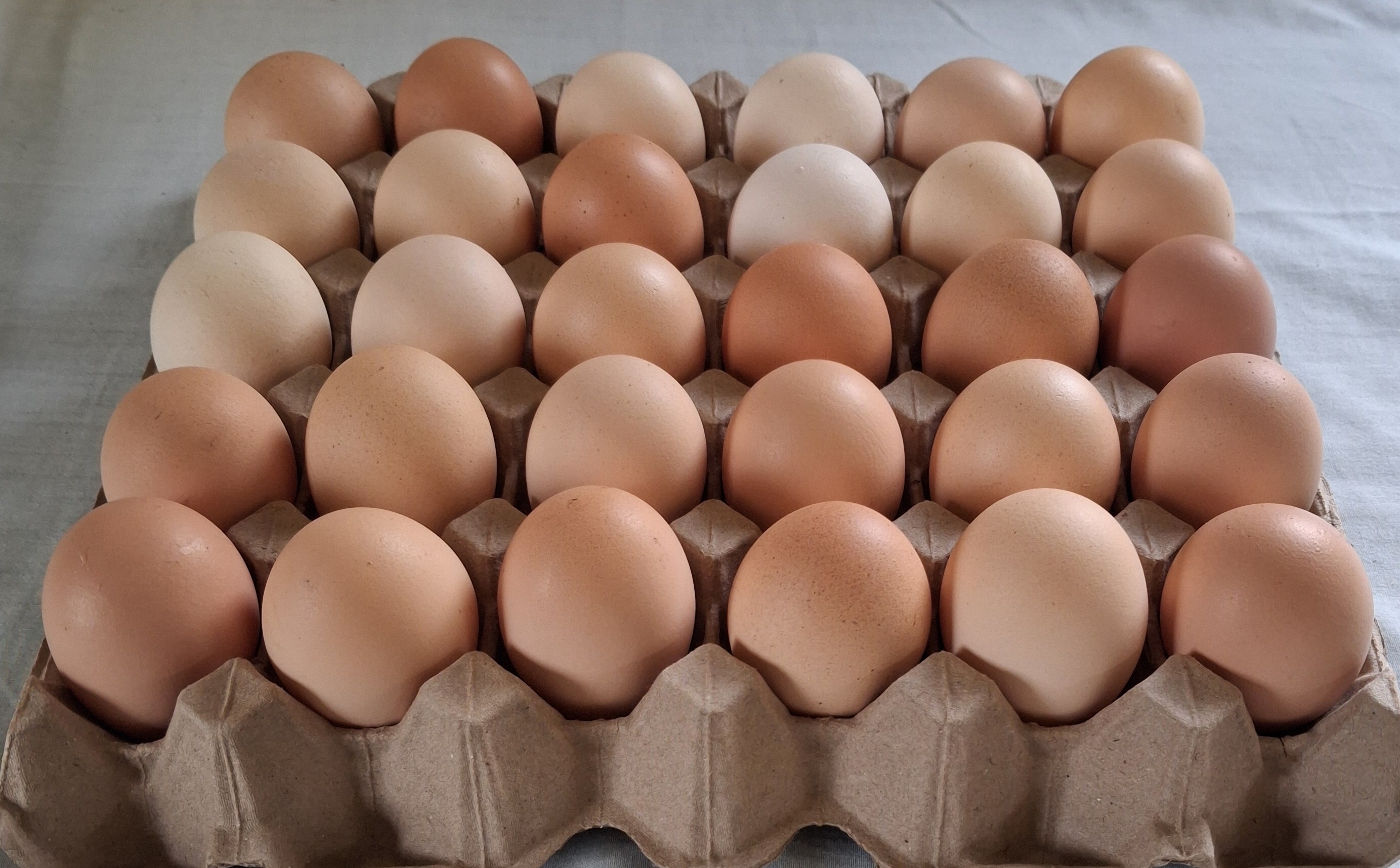 Tray of 30 eggs
